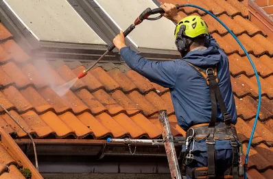 Démoussage et hydrofuge de toiture à la Ferté